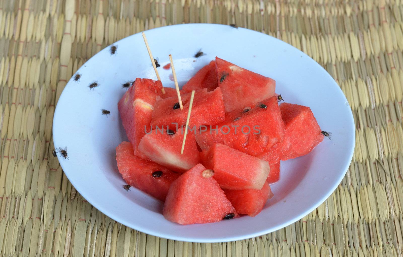bad  food for your health ,house fly on watermelon