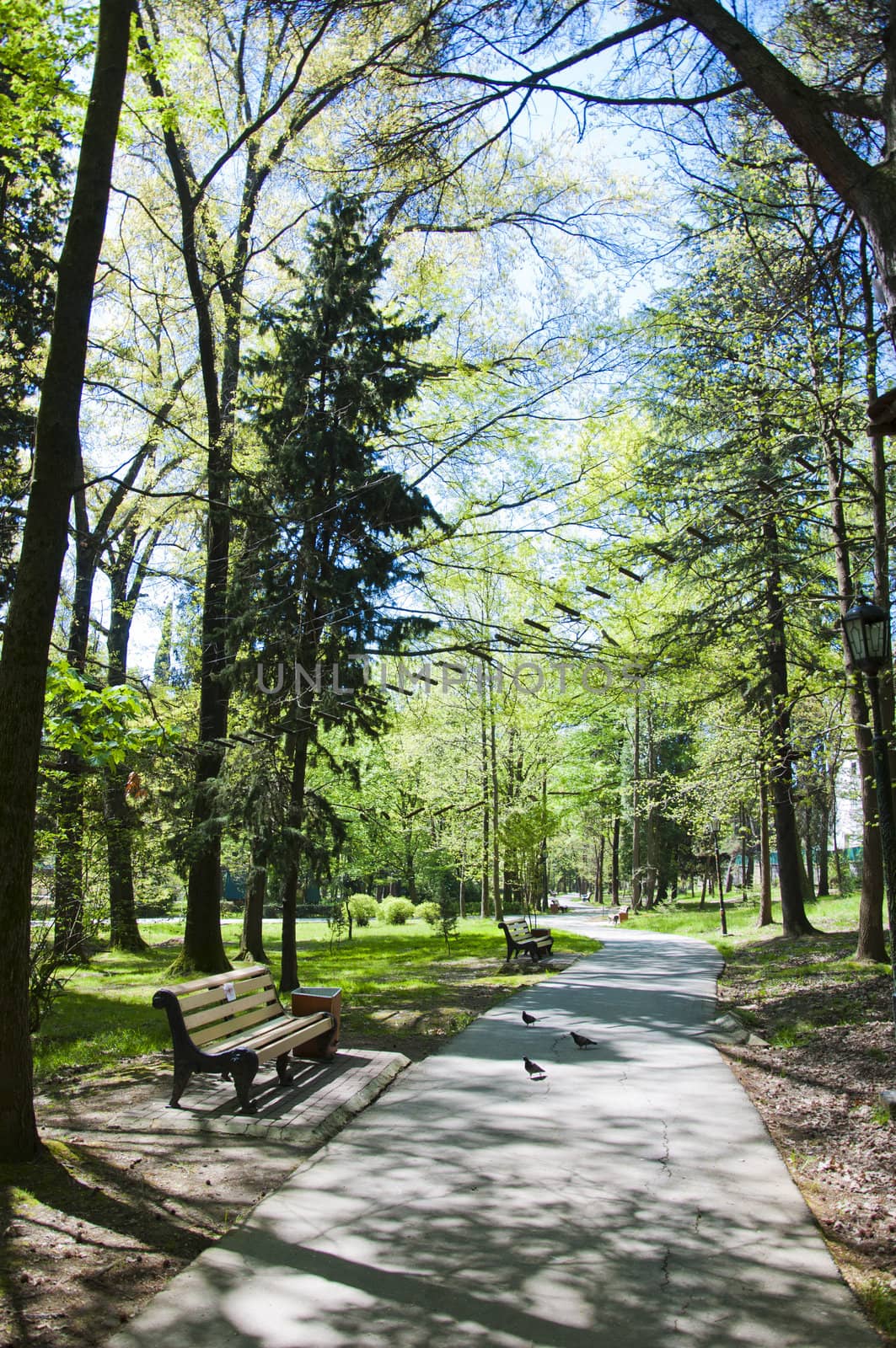 Sunny day in Riviera park in city Sochi