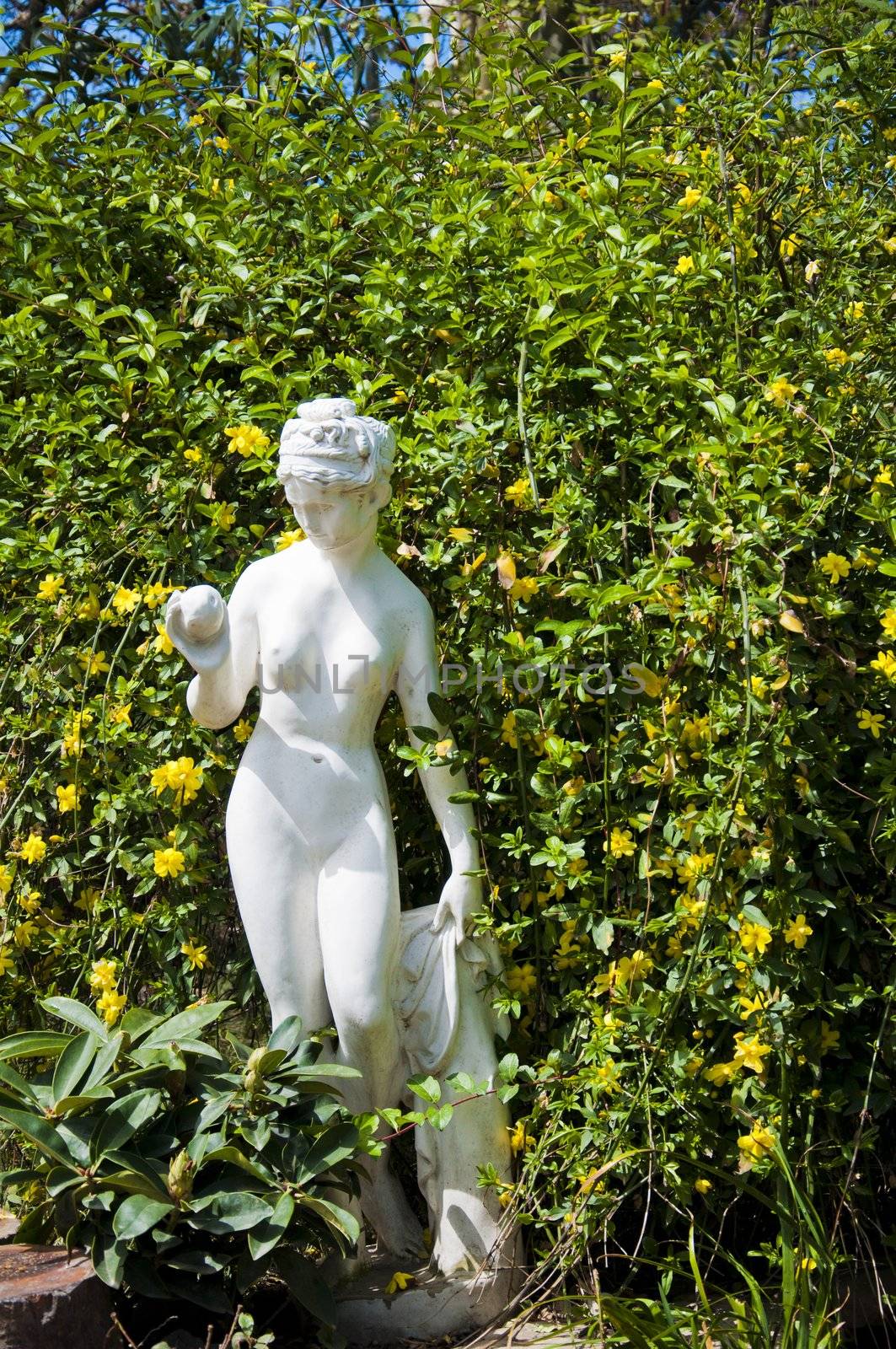 Sculpture of beautiful girl - muse taken in garden