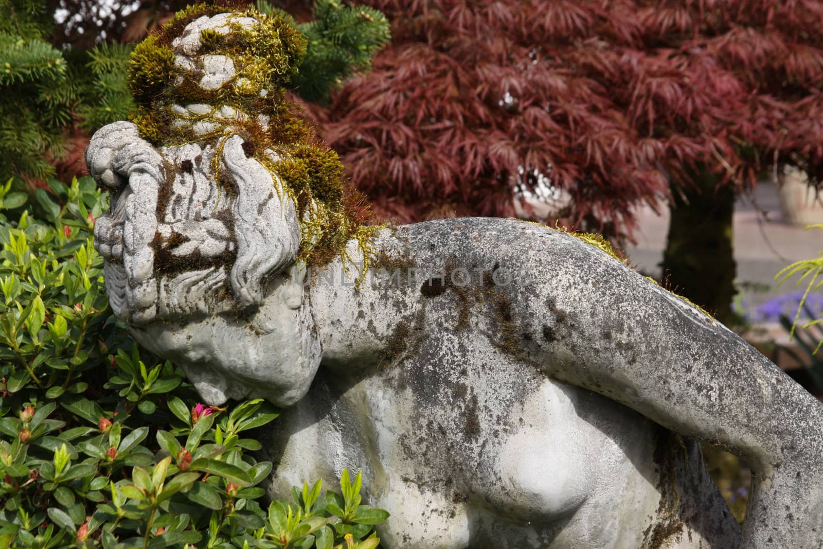 Statue is bending over to smell the flowers.