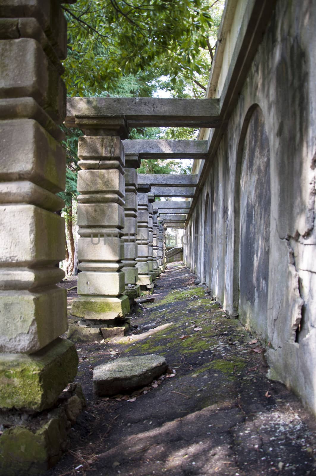 Mysterious narrow corridor of the columns in the park