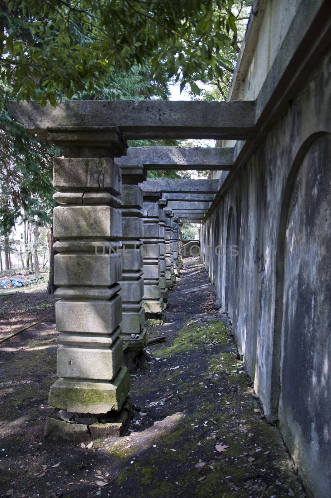 Mysterious narrow corridor of the columns in the park