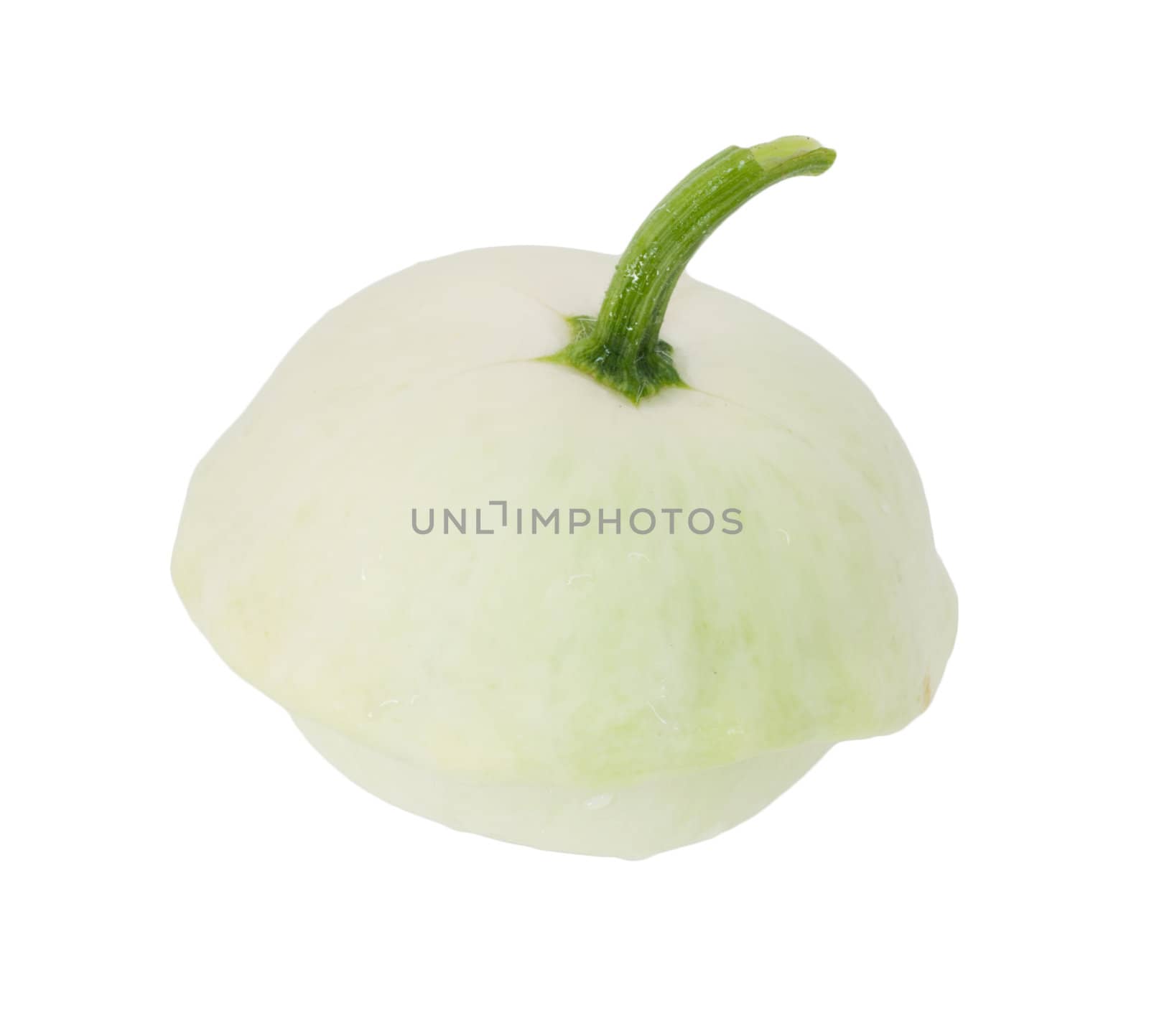 Single Patison, pattypan squash