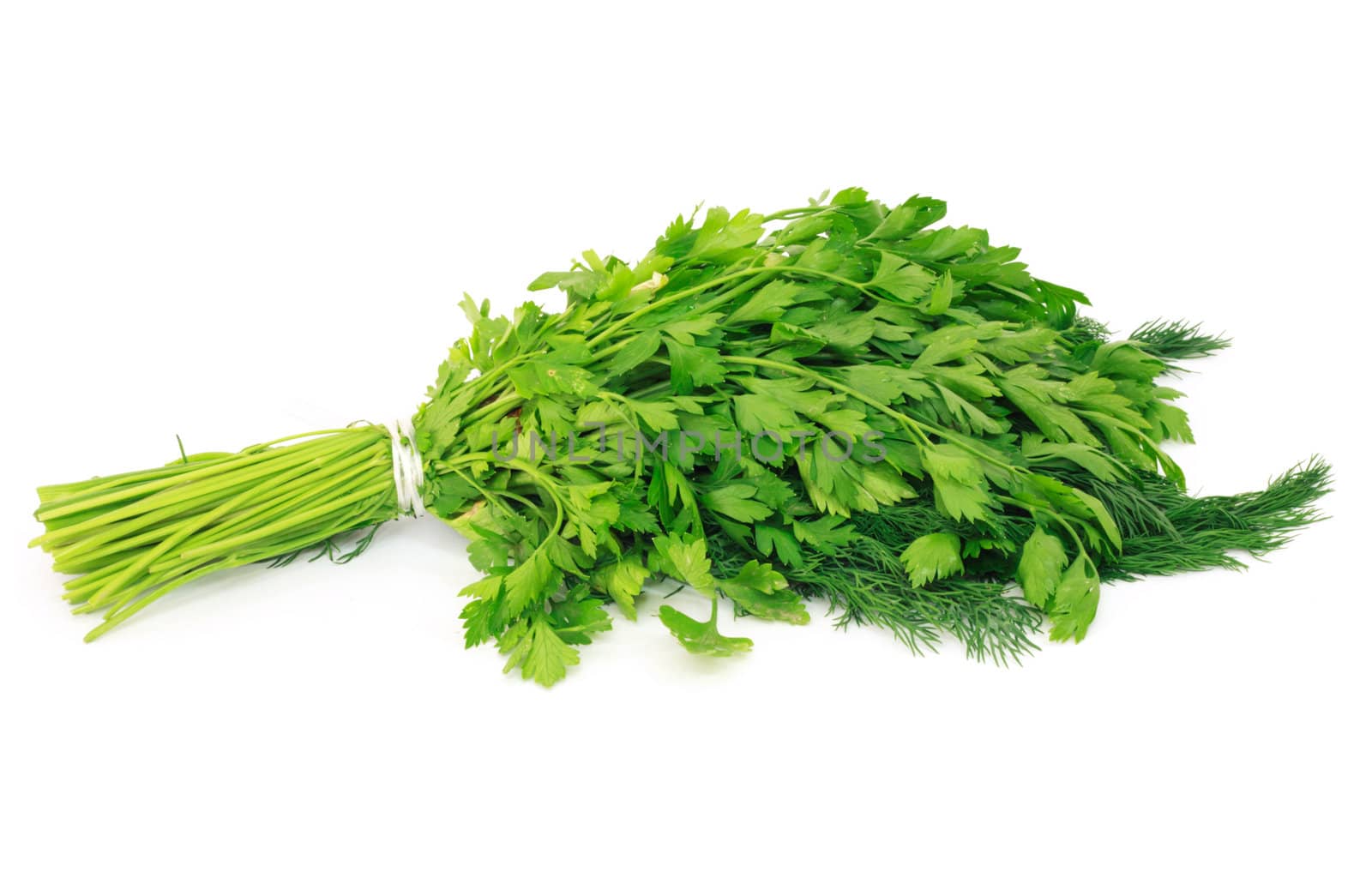 Dill and parsley isolated on a white background 