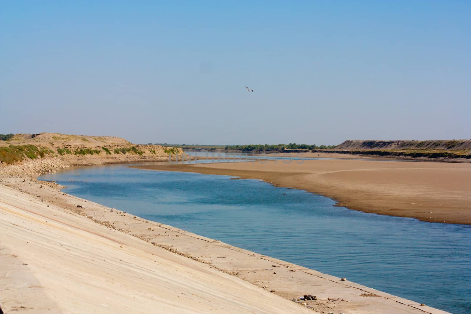 Riverside grass blowing on Syr Darya river, Kazakhstan 