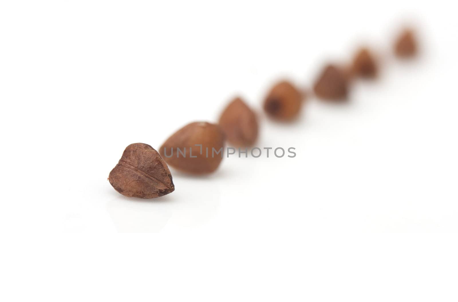 buckwheat on white background. close