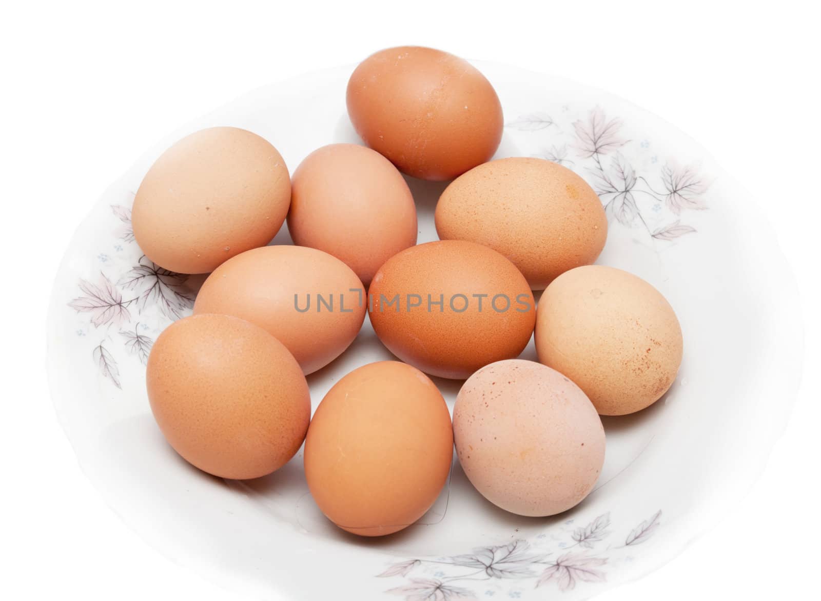 eggs on a white background