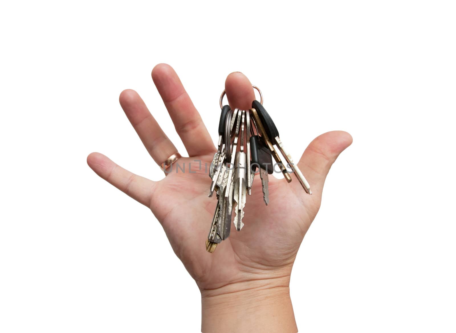 Keys in hand on white background