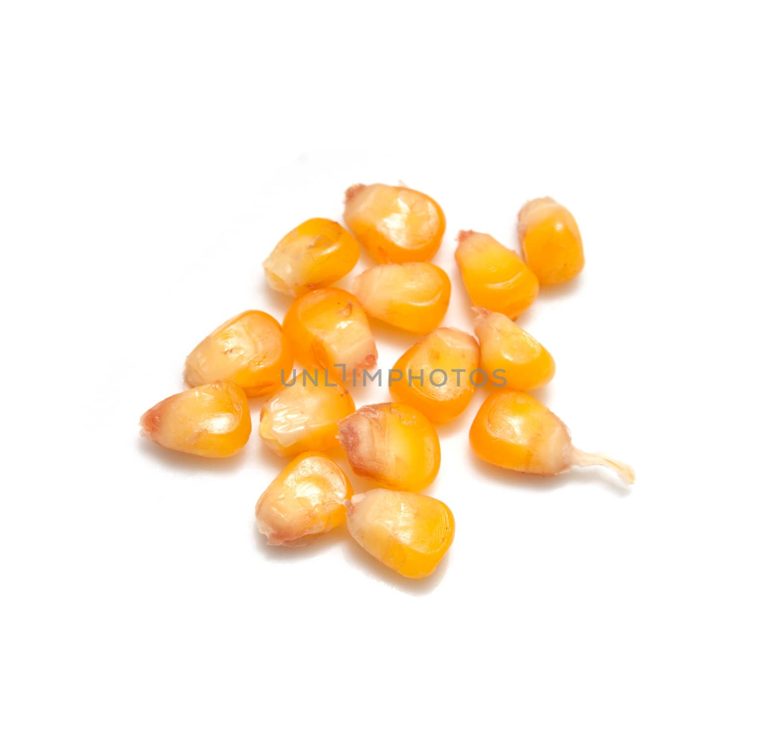 yellow corn grain on white background 