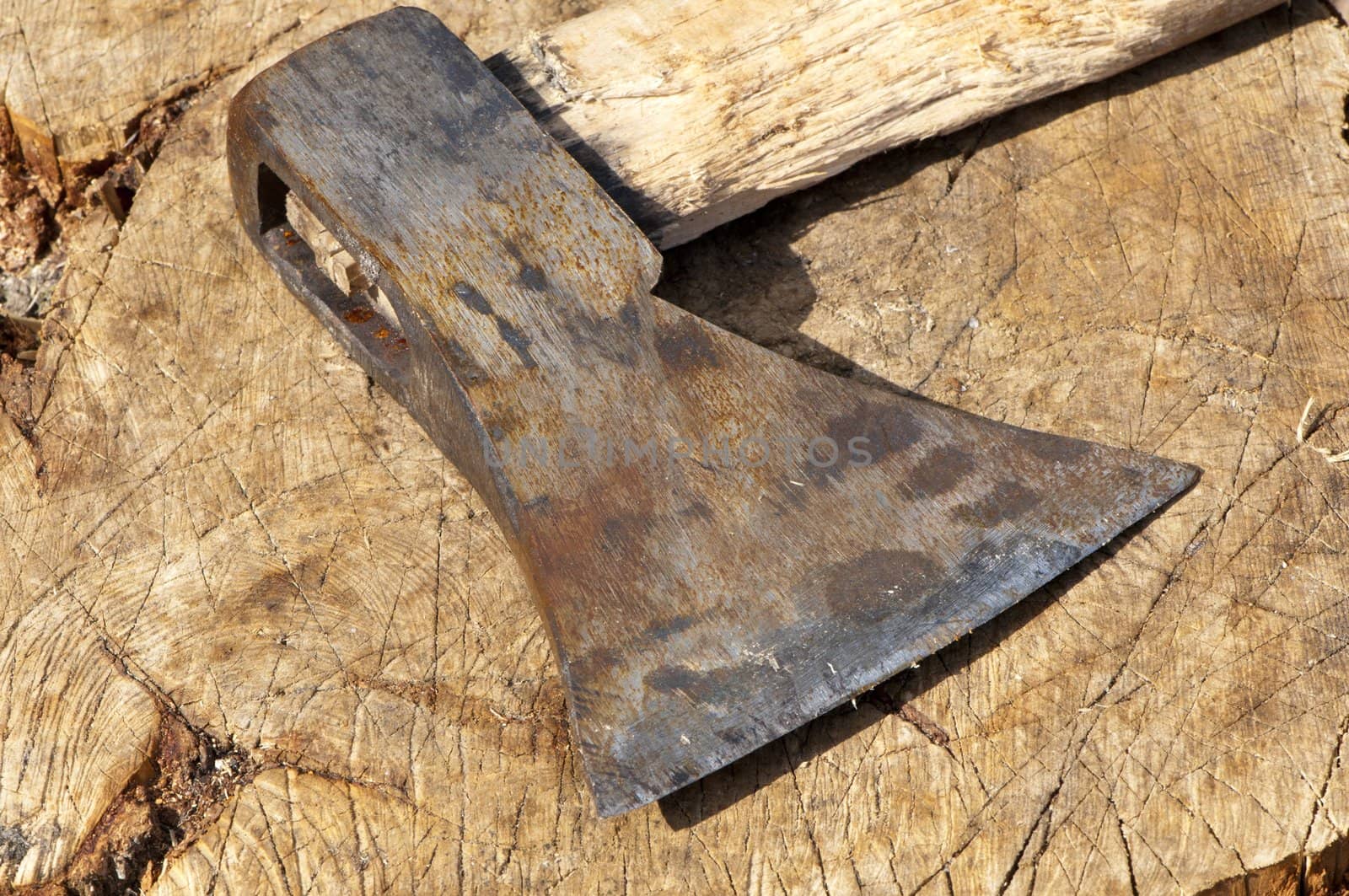 old ax lying on the trunk