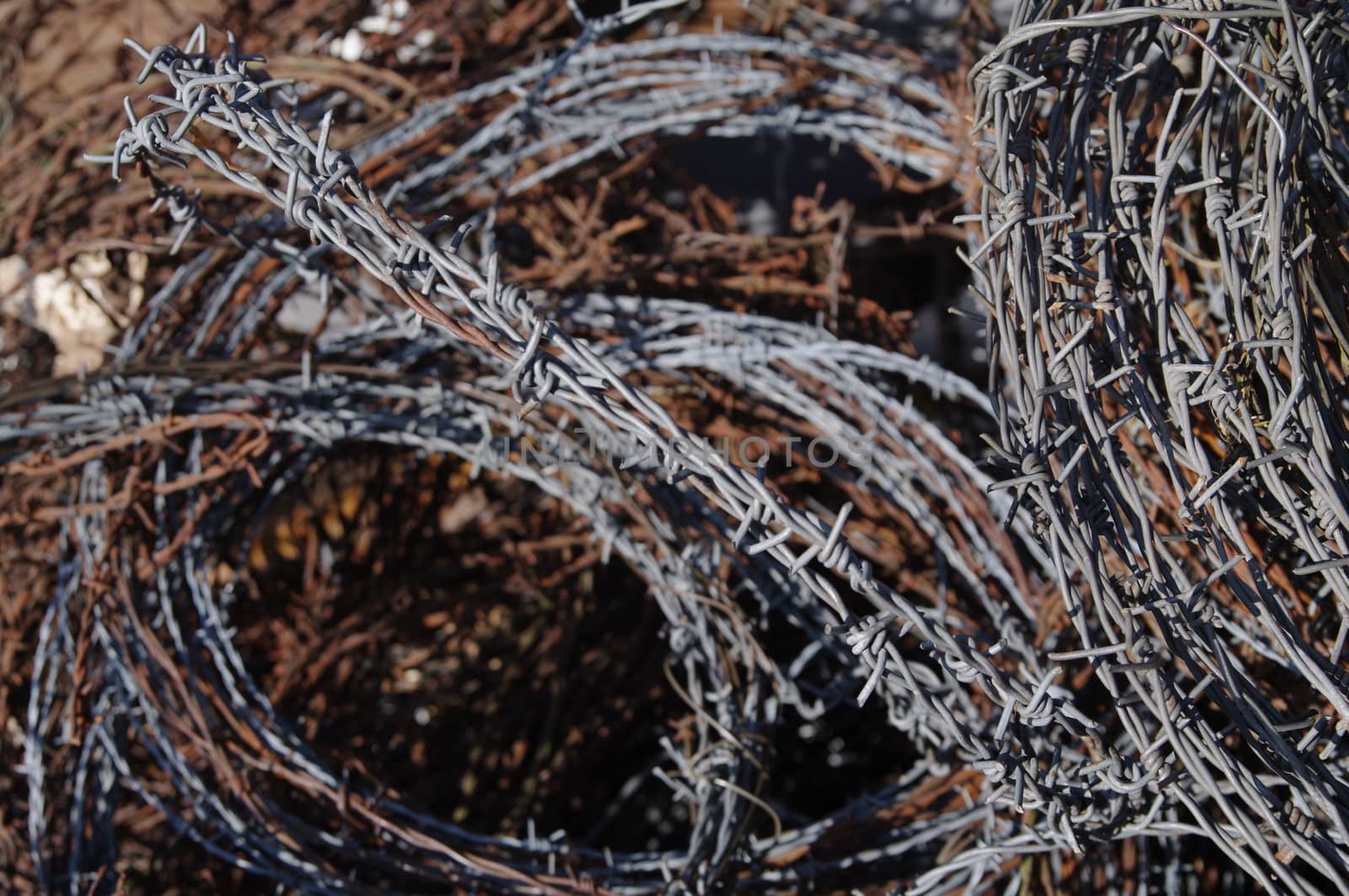 close-up photo of rusty barbwire