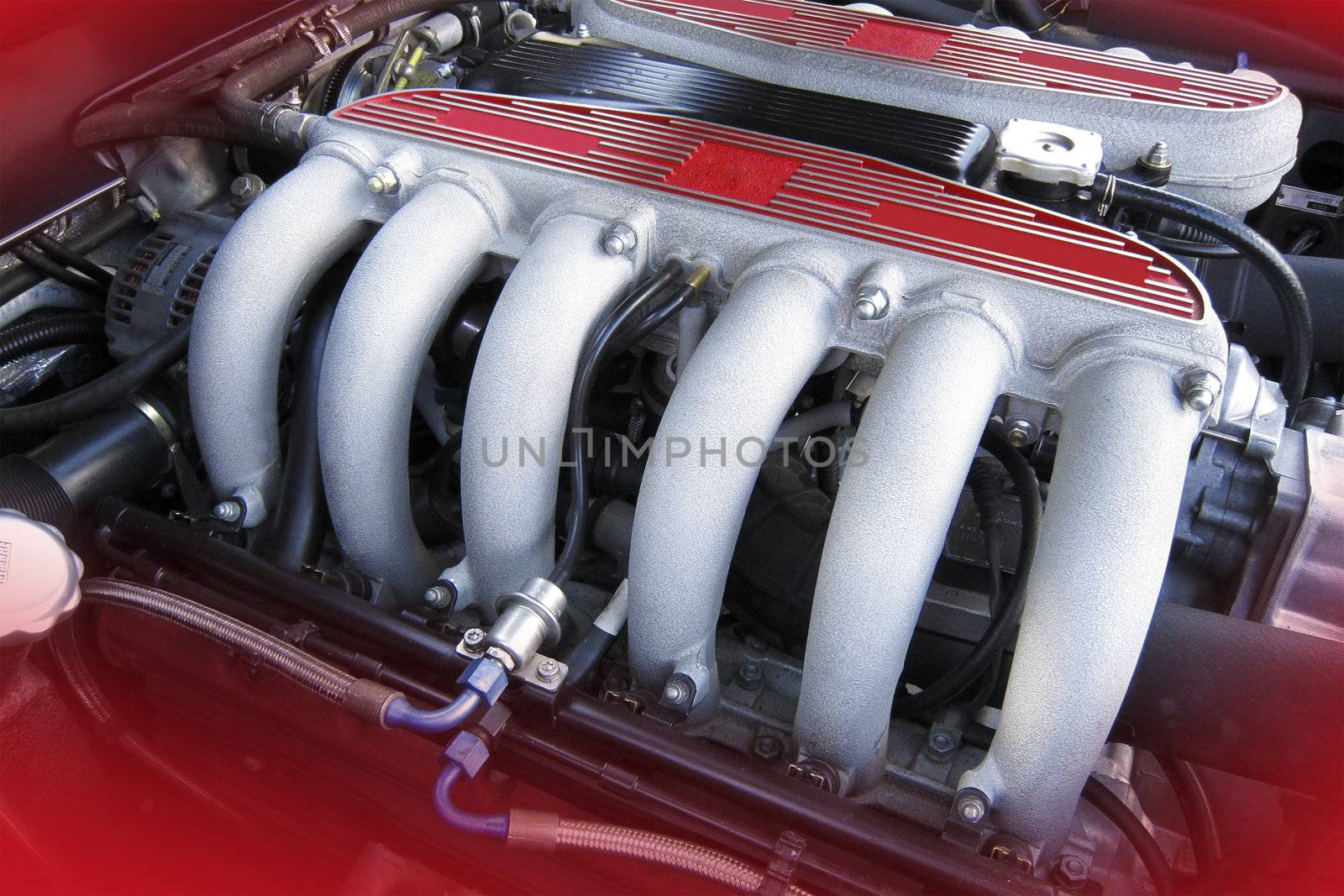 Car engine from italian sportscar, 12 cylinders
