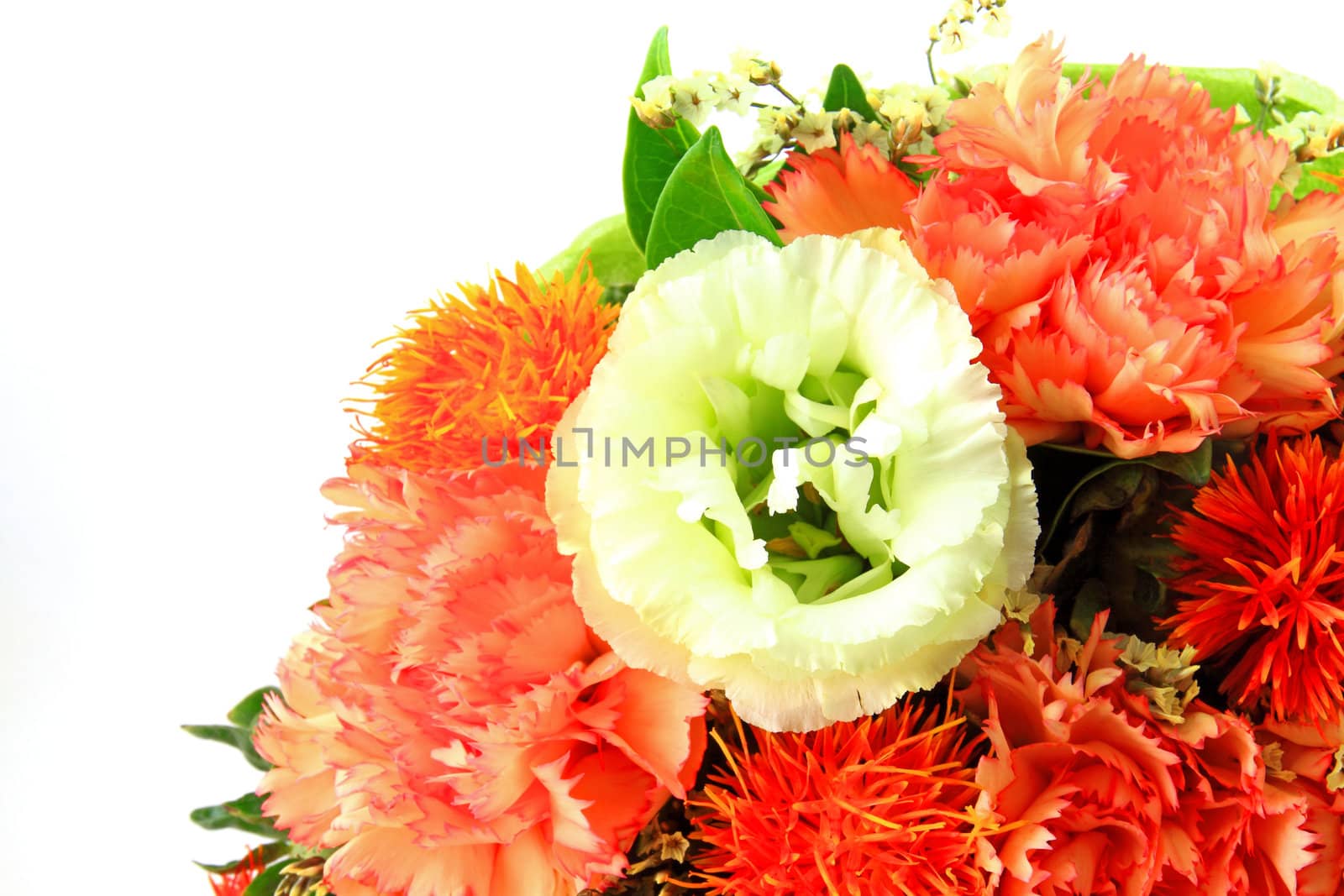 colorful flowers bouquet on white background with copy space