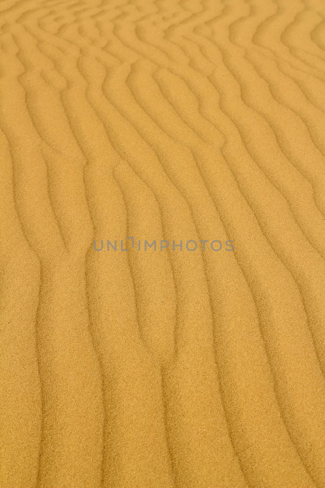 gold sand desert background