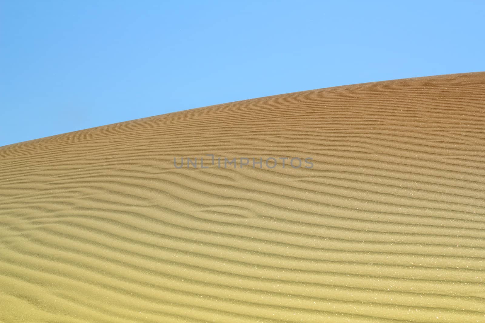 sand dune desert landscape