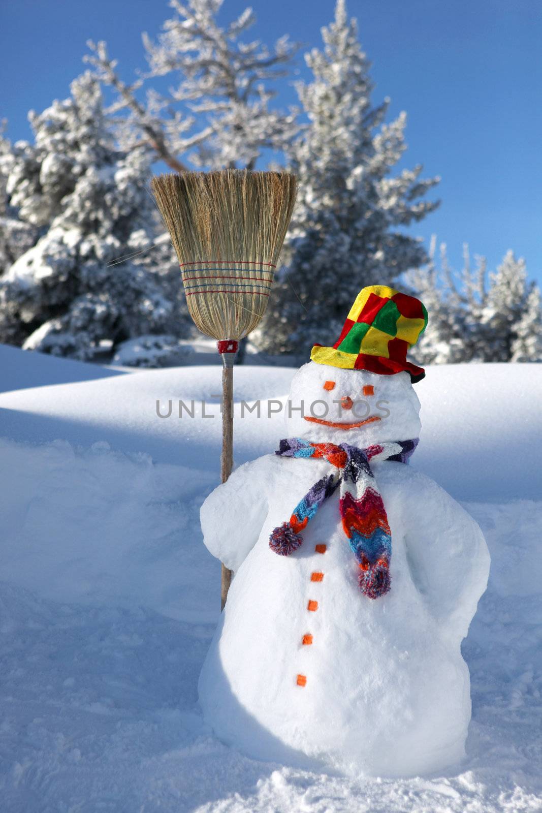 Snowman by phovoir
