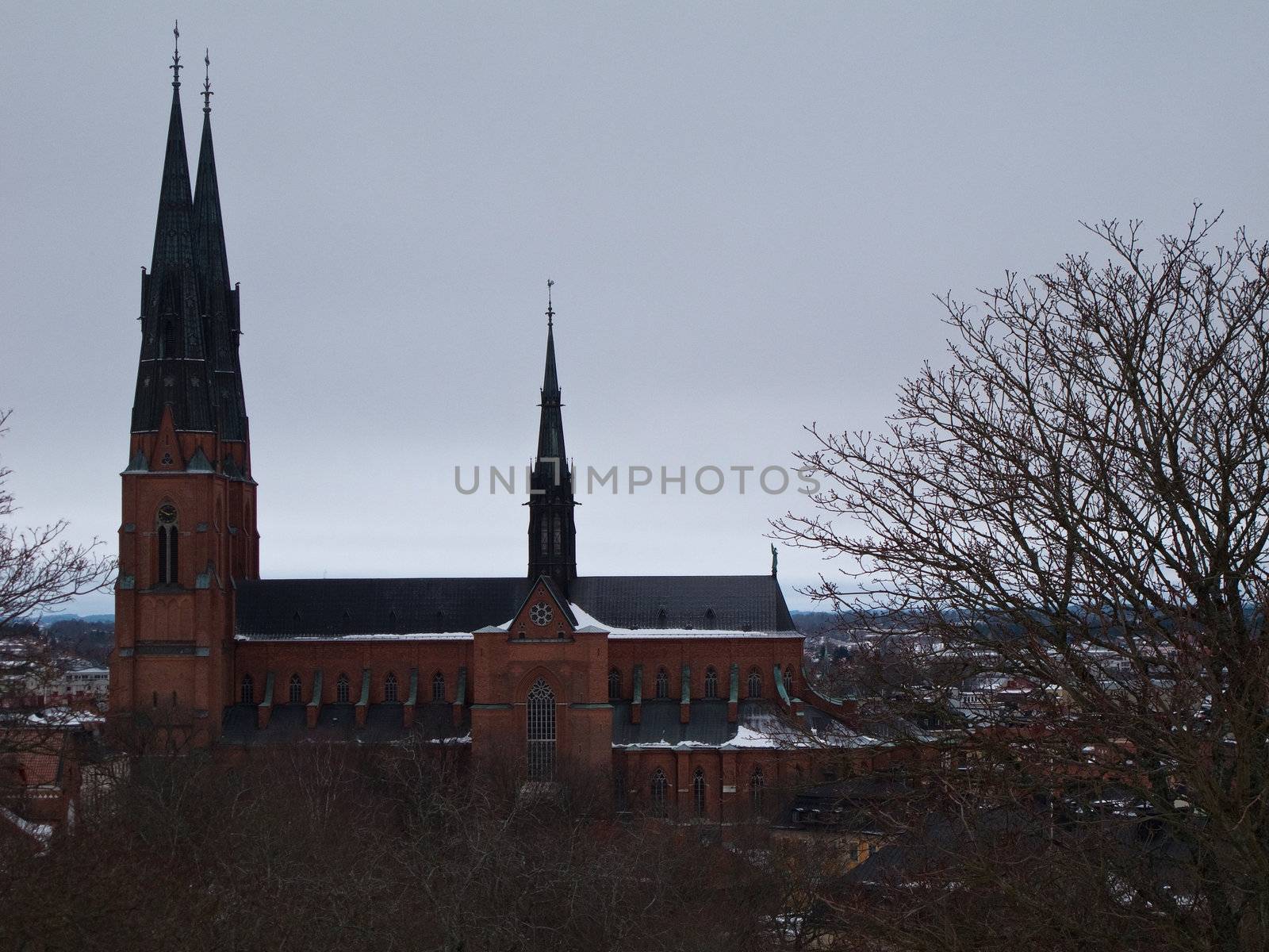 Cathedral of Uppsala, Sweden, in winter with trees in foreground