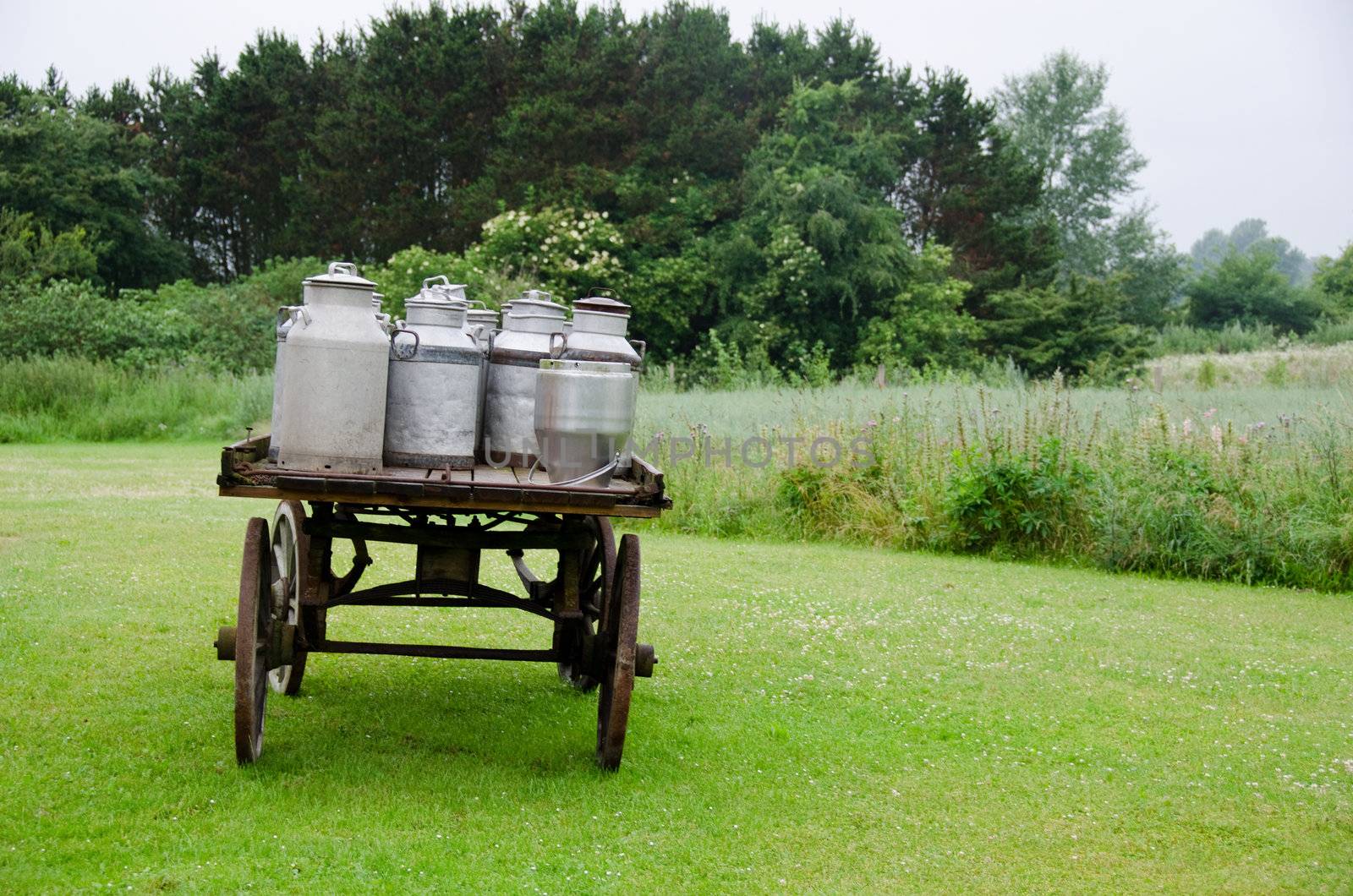 old traditional milk cans on a wooden horse and cart