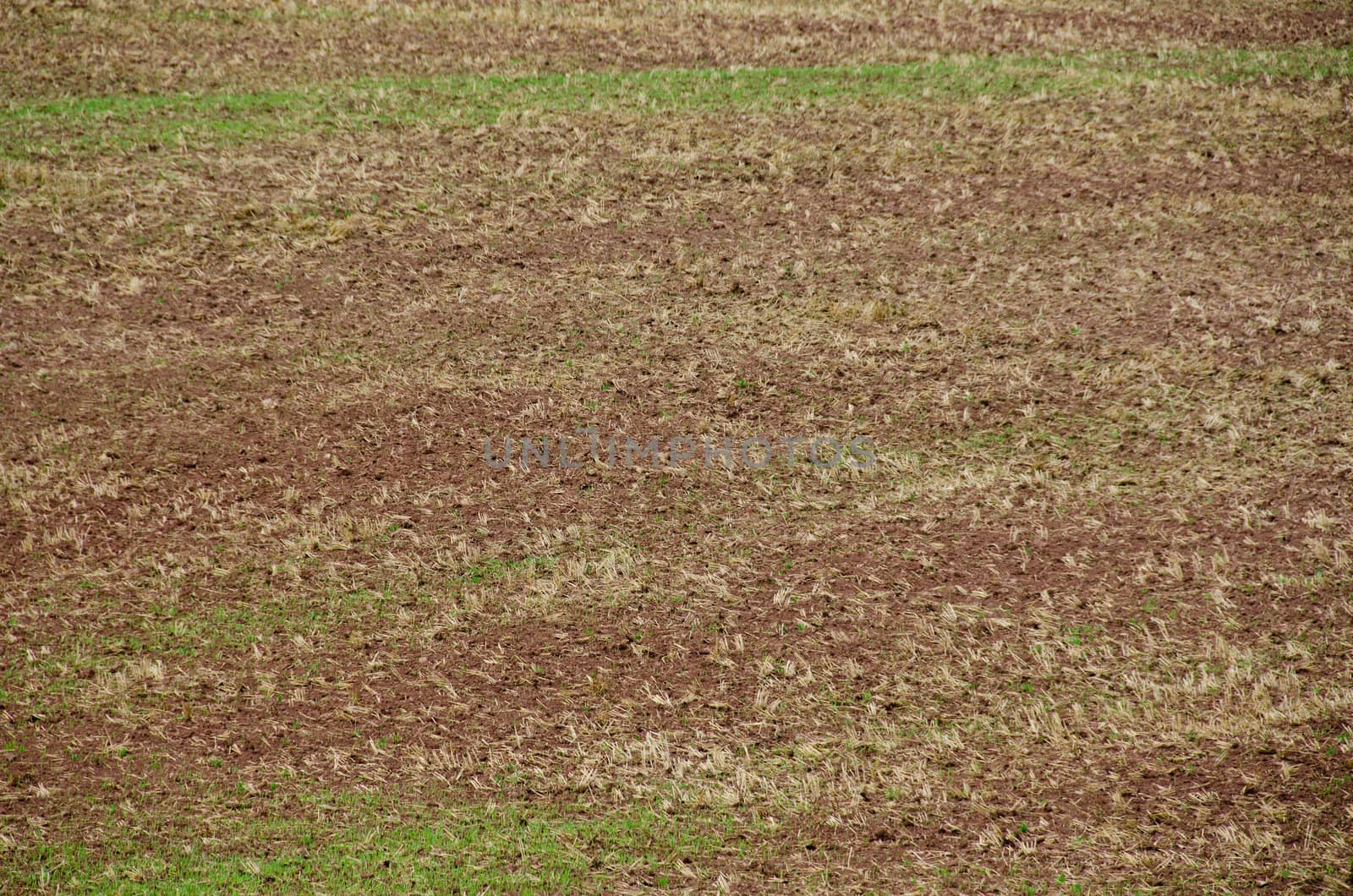 harvested and ploughed field background pattern with soil, straw and grass