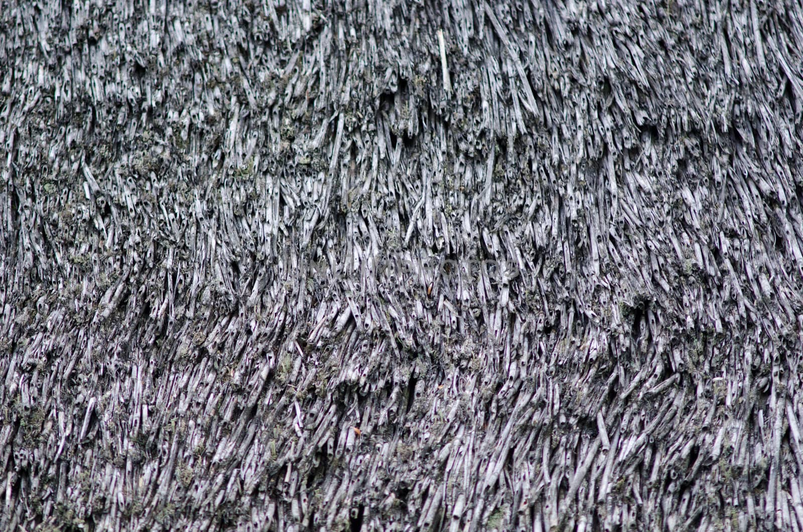 Detail of a thatched roof, background pattern