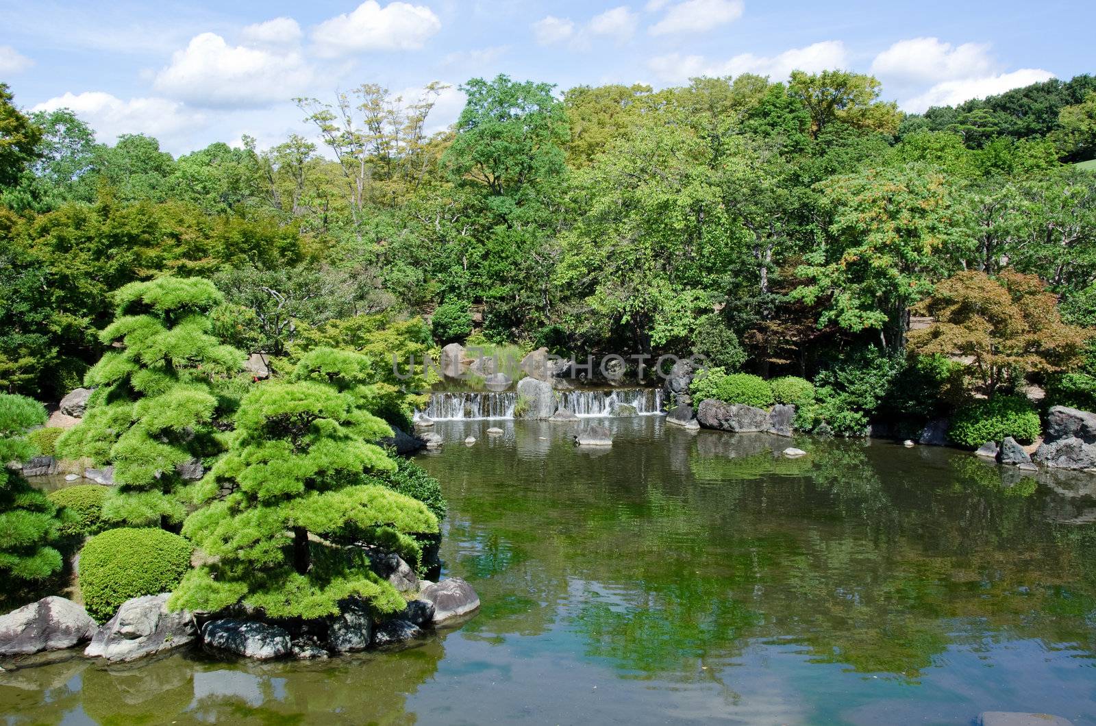 Japanese garden with lake and waterfall