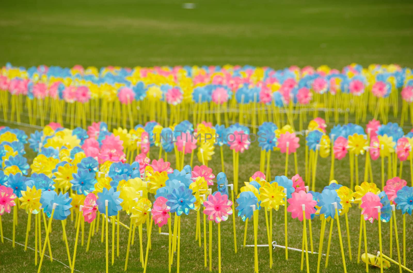 Yellow, blue and red pinwheels on a meadow 