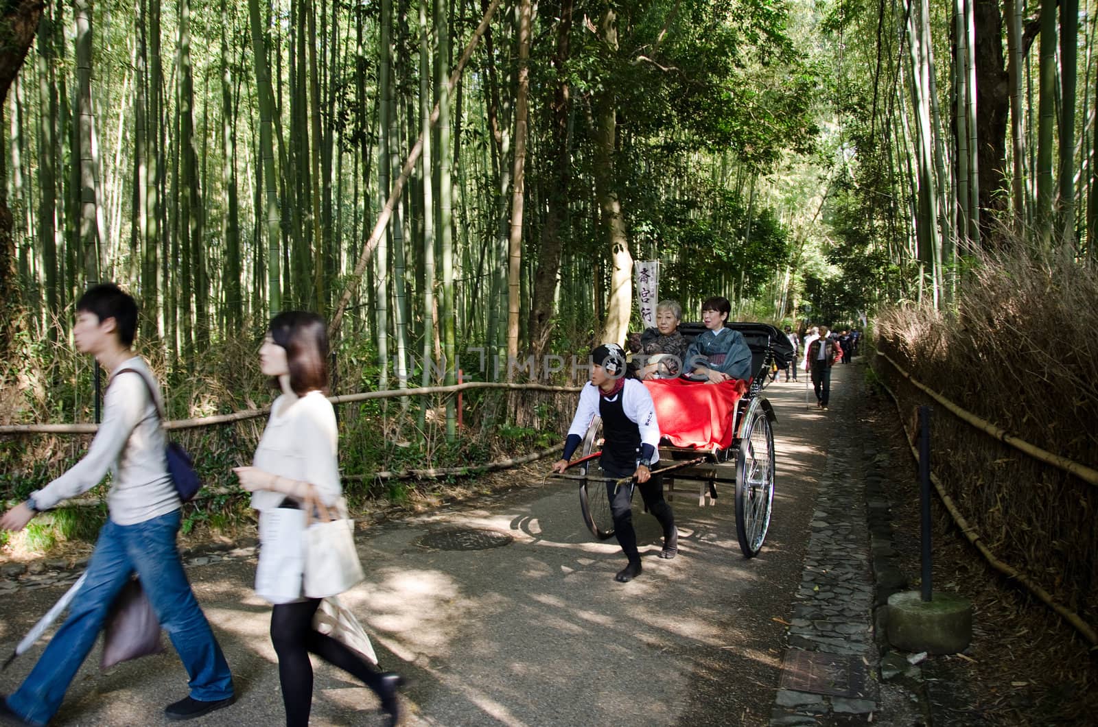 Pulled rickshaw in the bamboo forest of Arashiyama, Kyoto, Japan