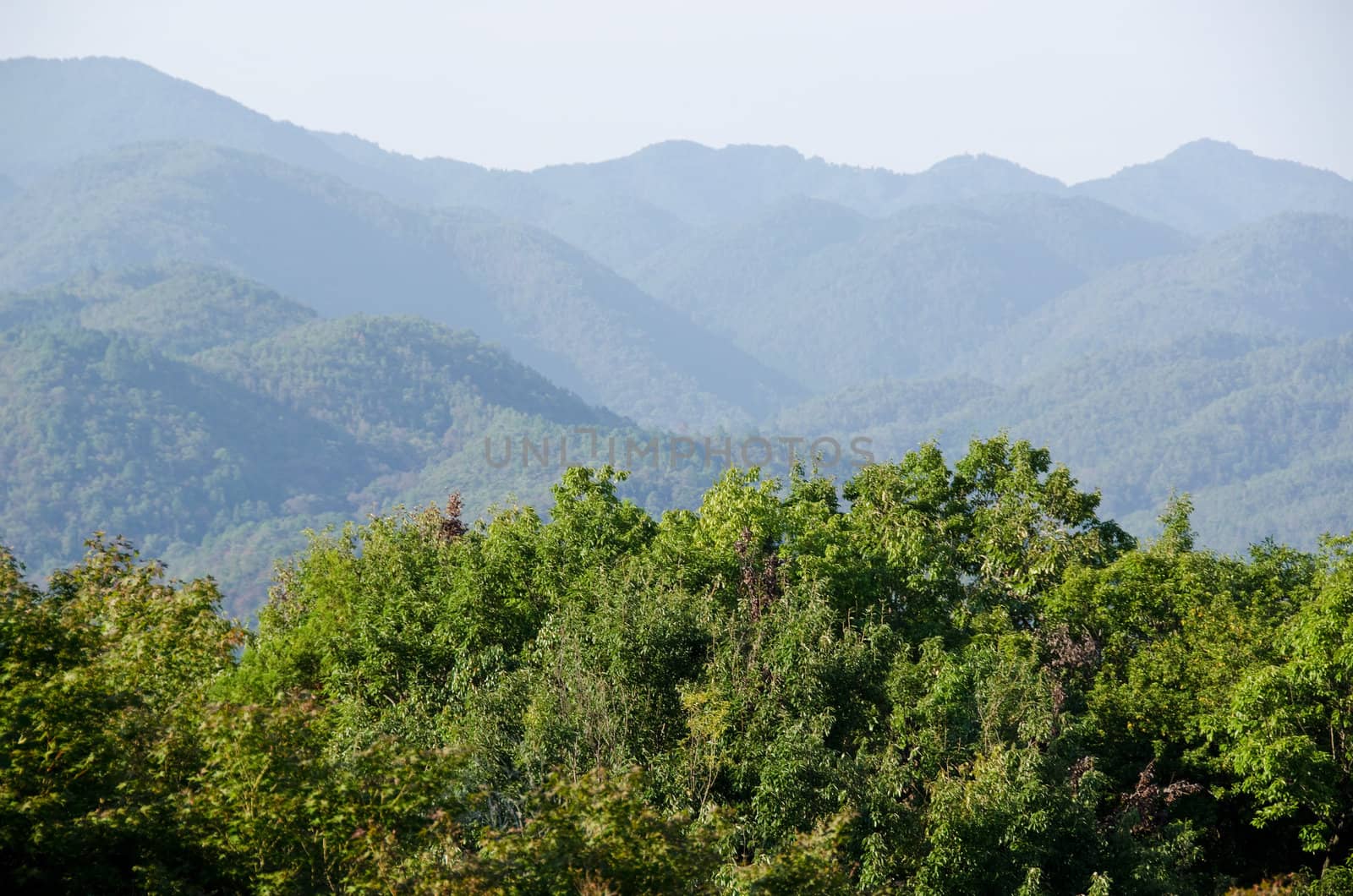 Mountain landscape around Arashiyama near Kyoto, Japan