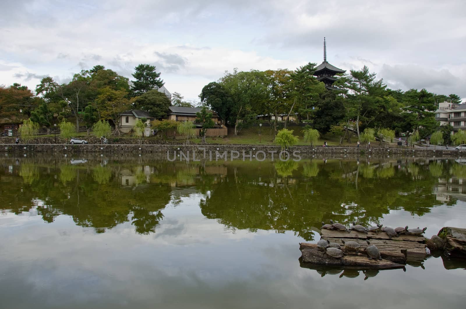 Wide angle view of a lake in Nara, Japan with turtles in the front and pagoda of  Kofuku-ji temple in background