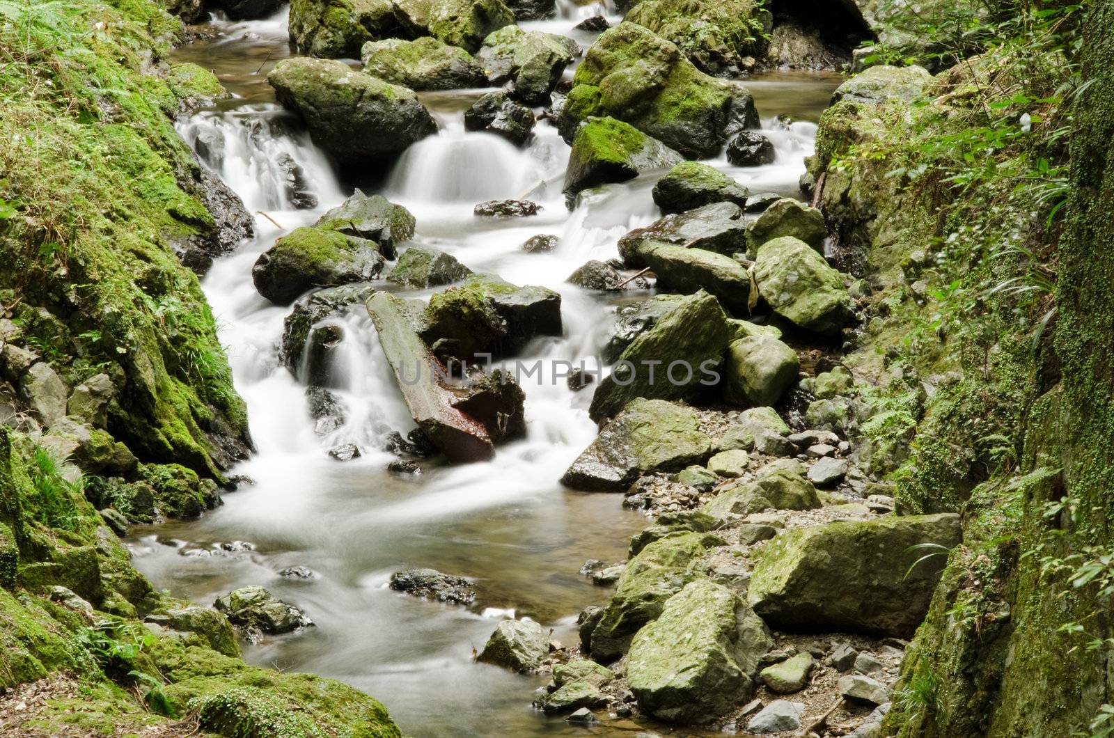 Detail of a small wild river in the Quasi Mino National Park, Japan