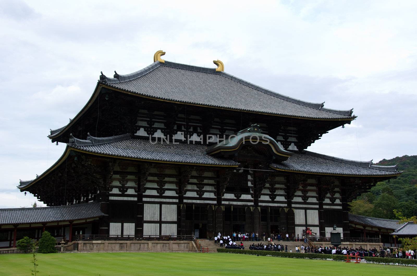 Todai-ji temple in Nara by Arrxxx