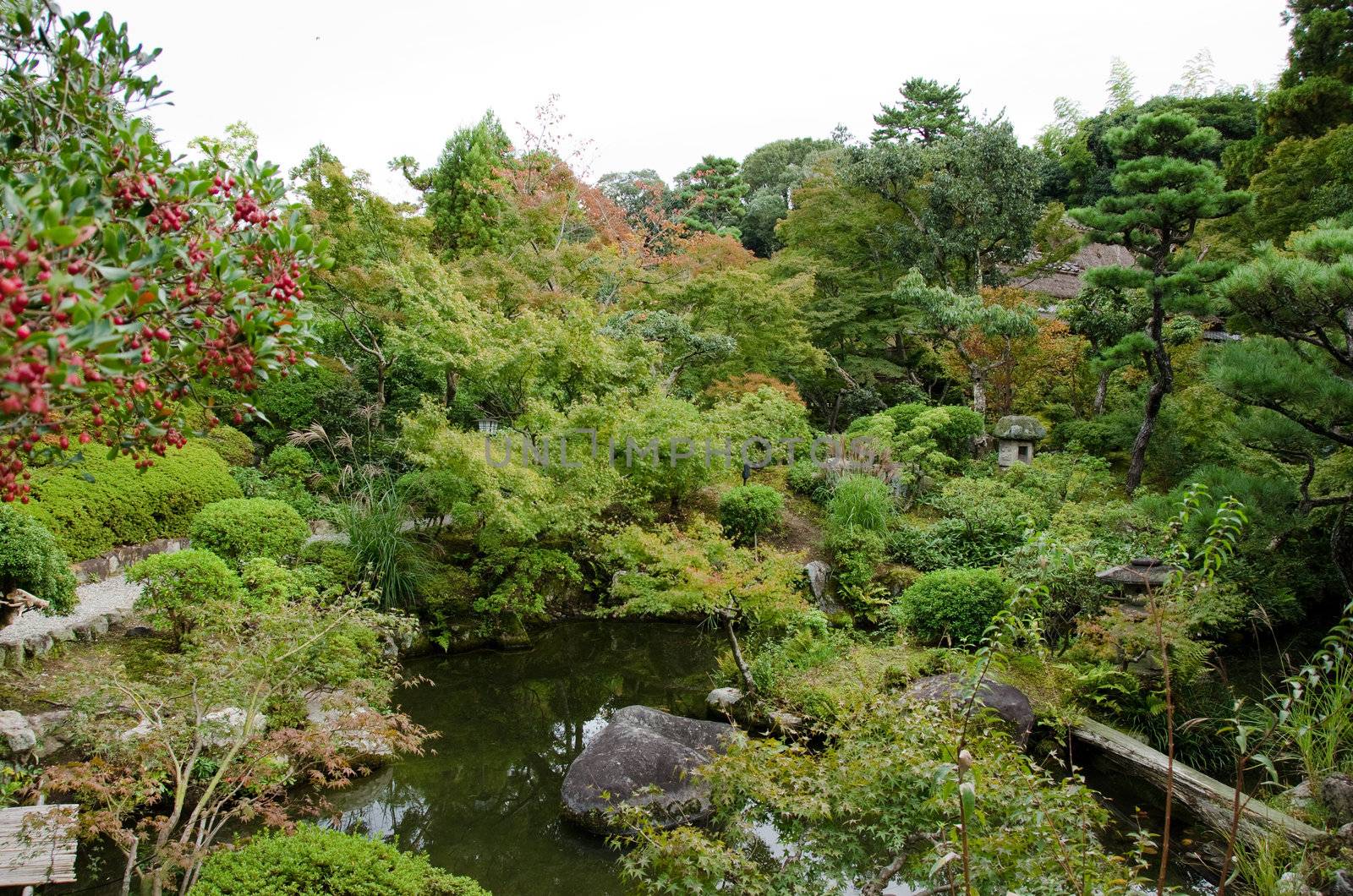 Japanese garden with dense vegetation and lake