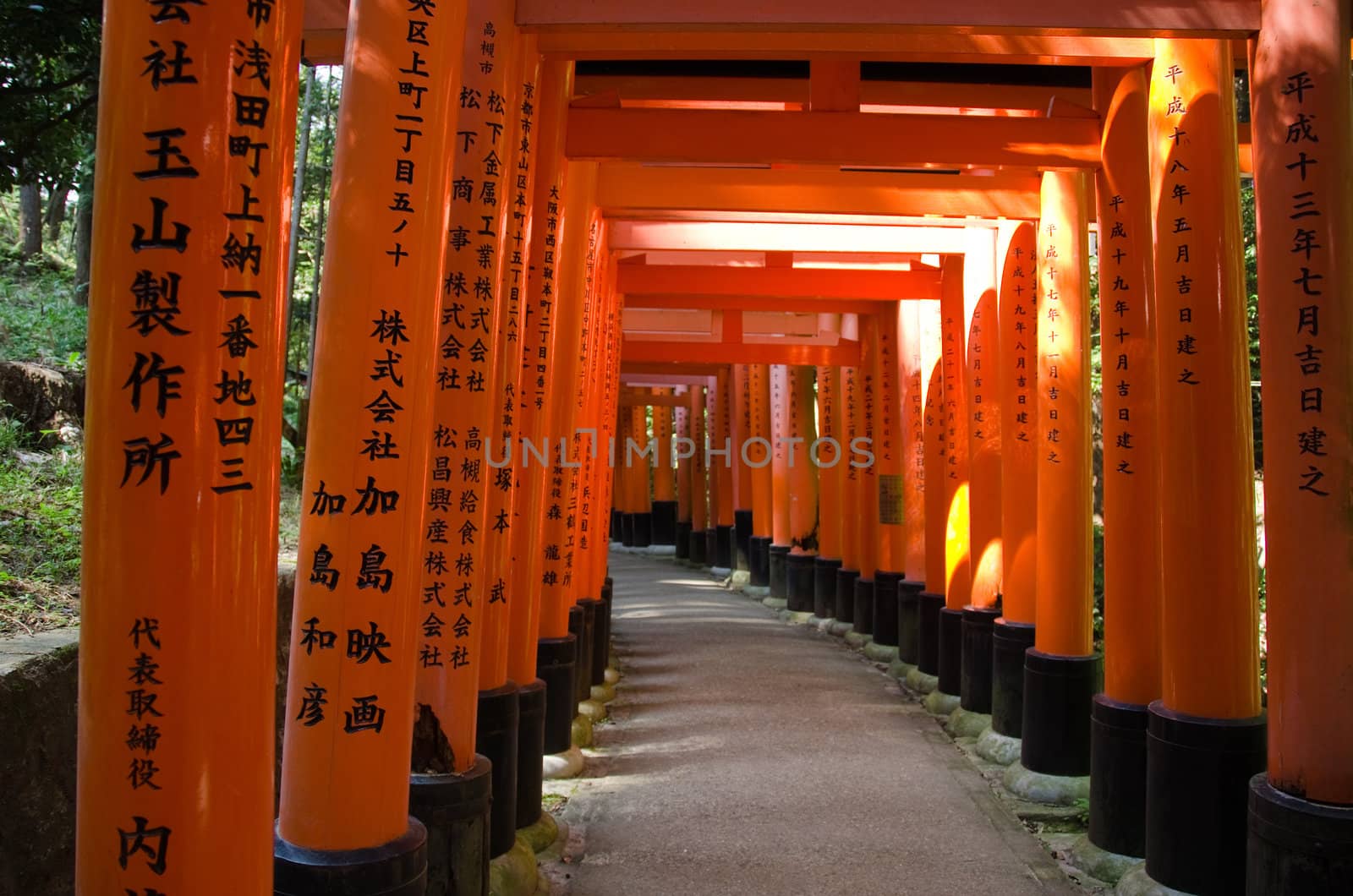 Torii gates at Inari shrine in Kyoto by Arrxxx
