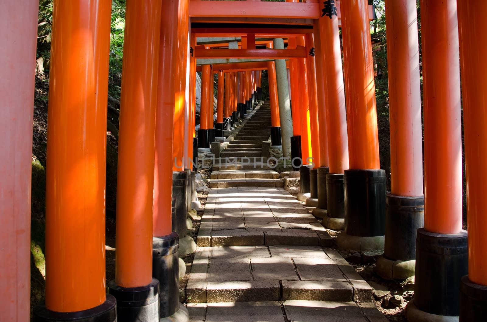 Torii Gates at the Fushimi Inari Taisha Shrine in Kyoto, Japan