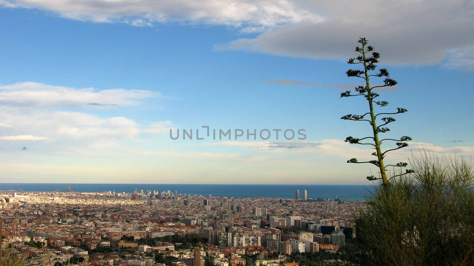 View on barcelona from the hill with sea in the background