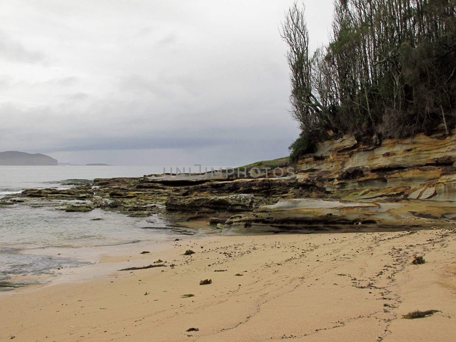 Wild beach in australia with cliffs, trees and ocean