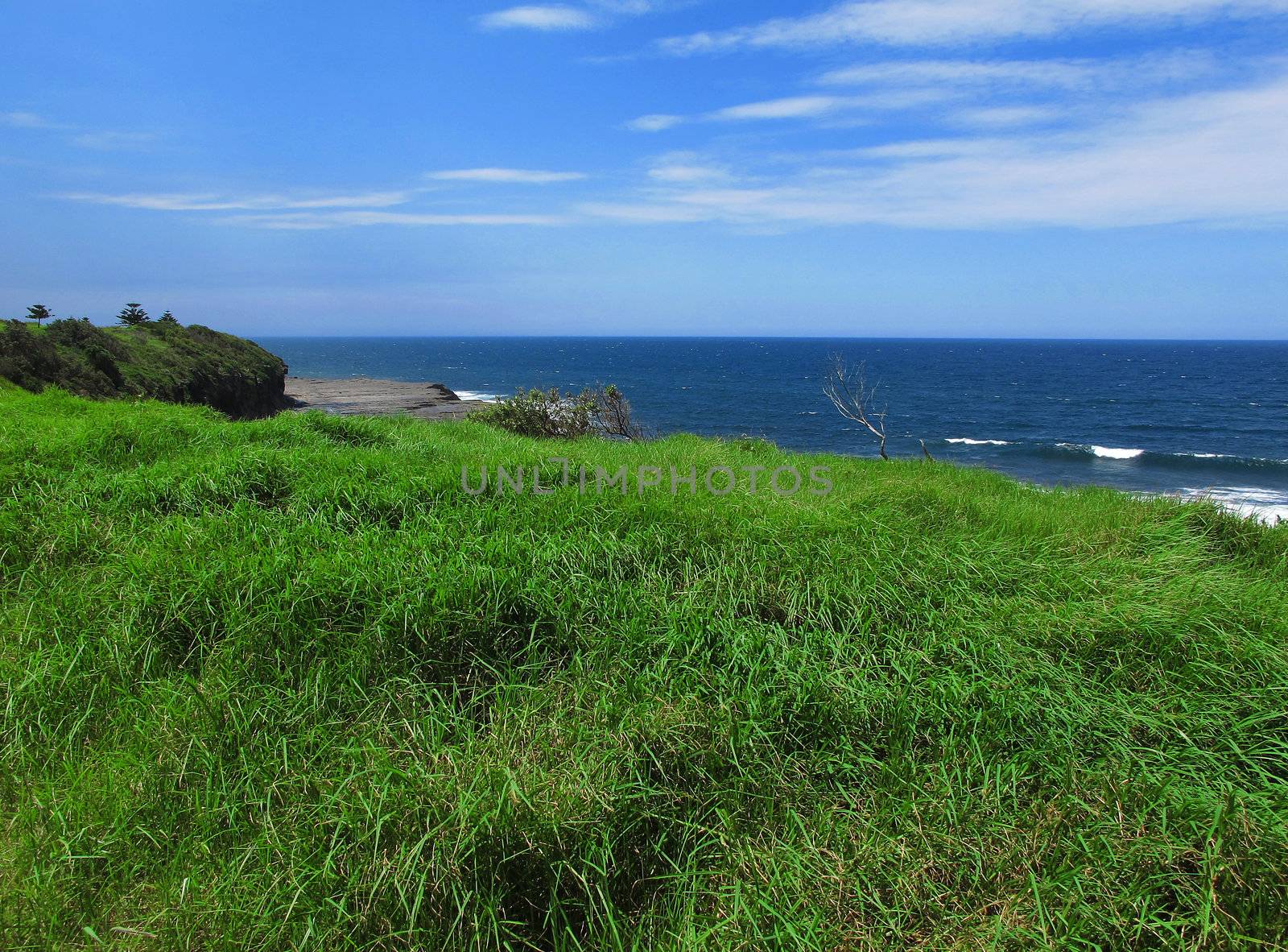 Green grass, blue ocean and blue sky landscape