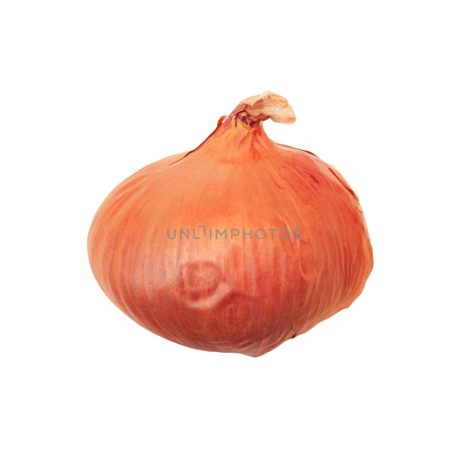 Ripe onion on a white background 