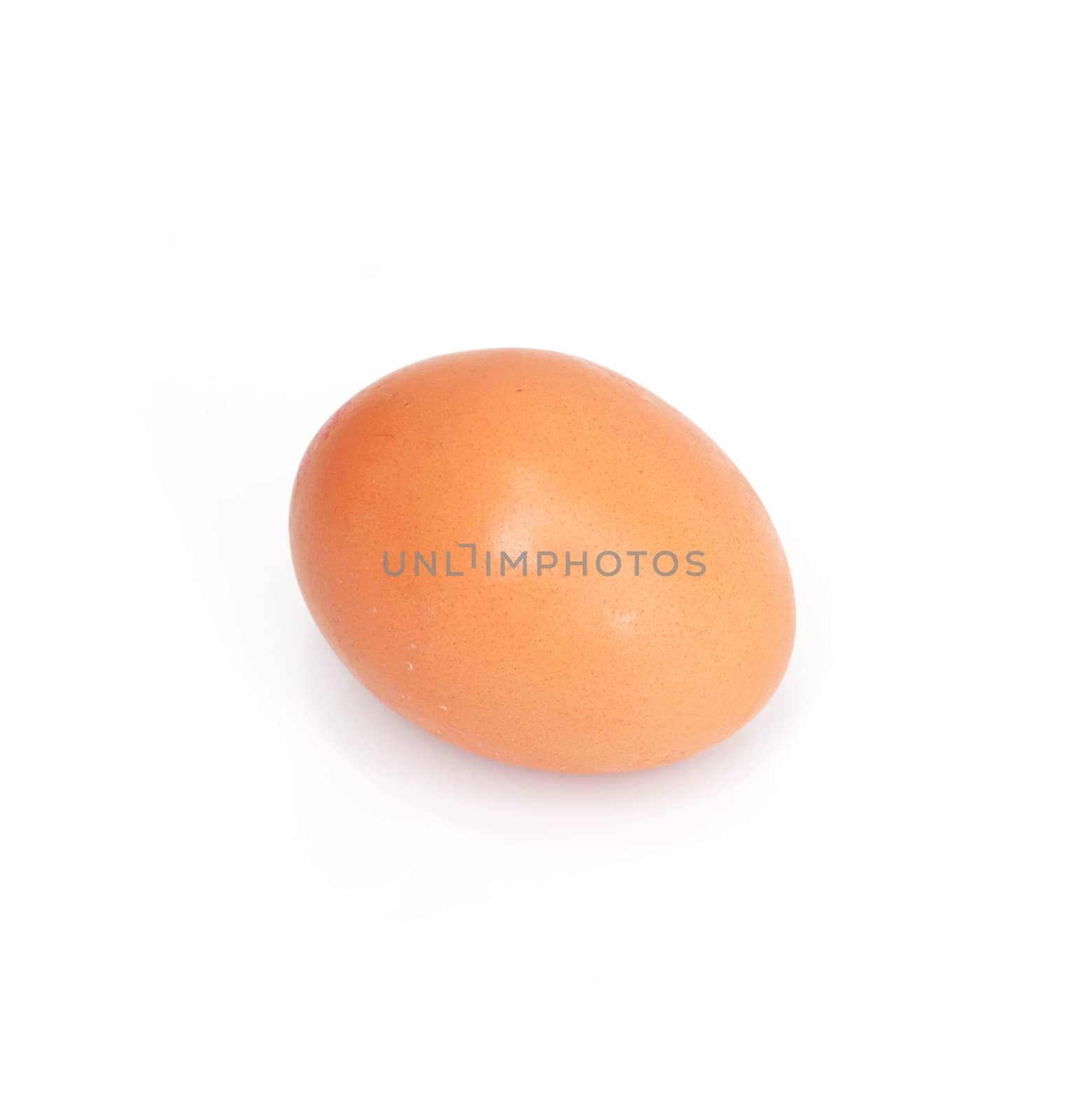One egg on white background  by schankz