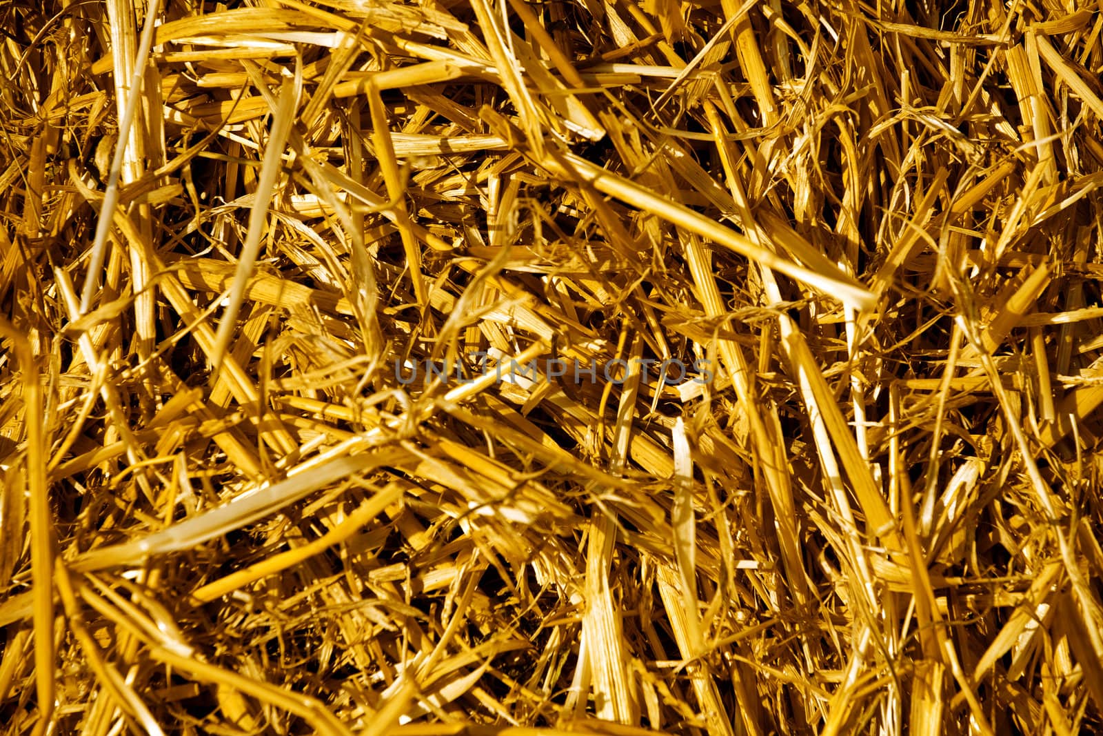 Background from the dry yellow straw which has remained after harvesting