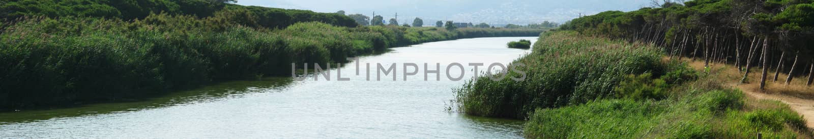 Panorama view of a river with plants and forest, mediterranean