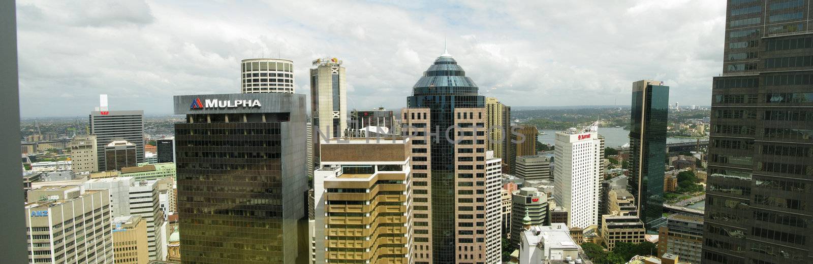 view of the sydney skyline from one skyscraper, australia northwest