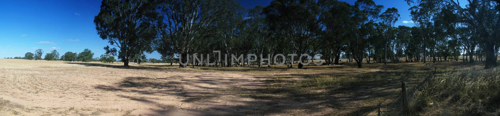 panorama of the outback, bushland, in south australia