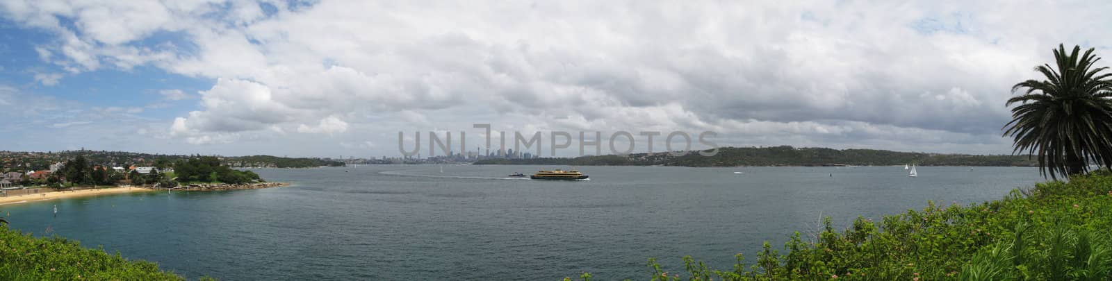 Panorama view from sydney Harbor national park towards sydney