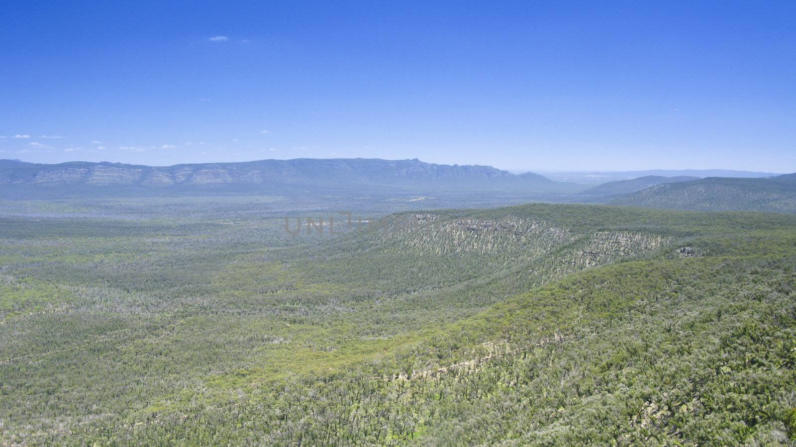 panorama of a blue mountain range in australia, national park