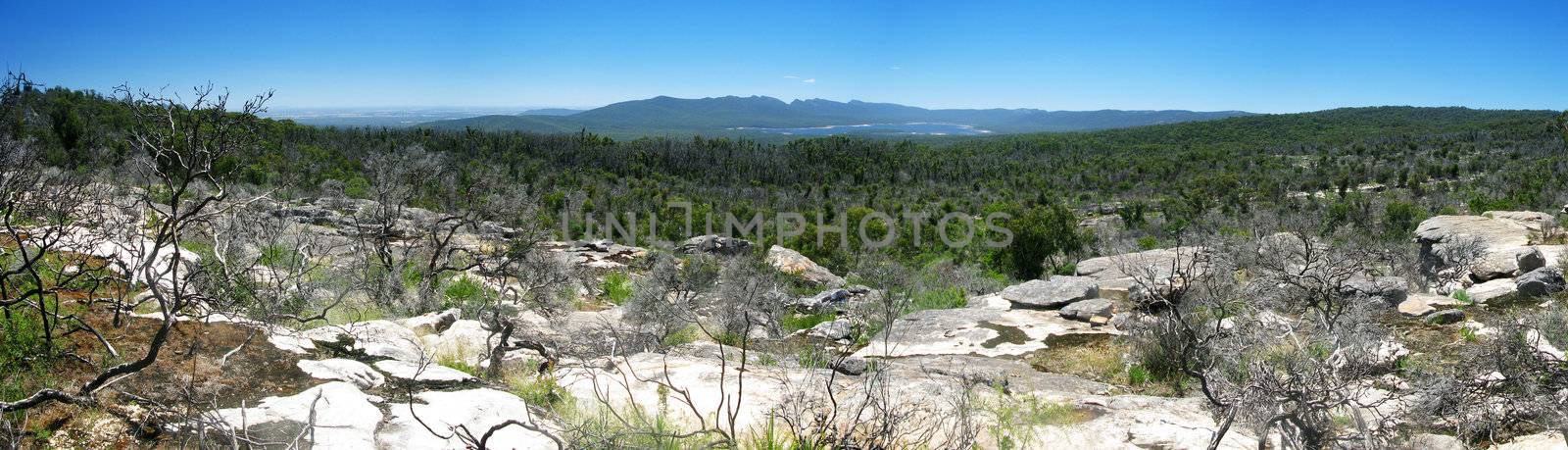 panorama of a blue mountain range in australia, national park