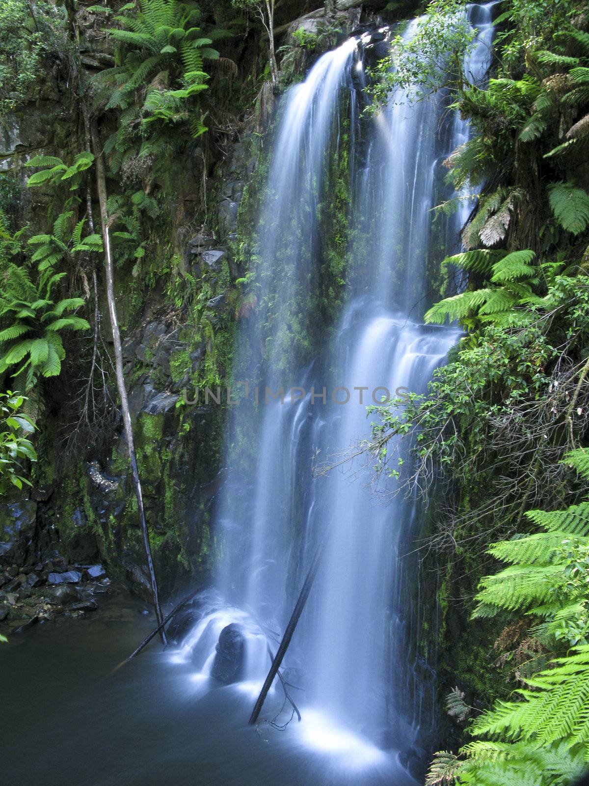 medium sized water fall in a rain forest in australia