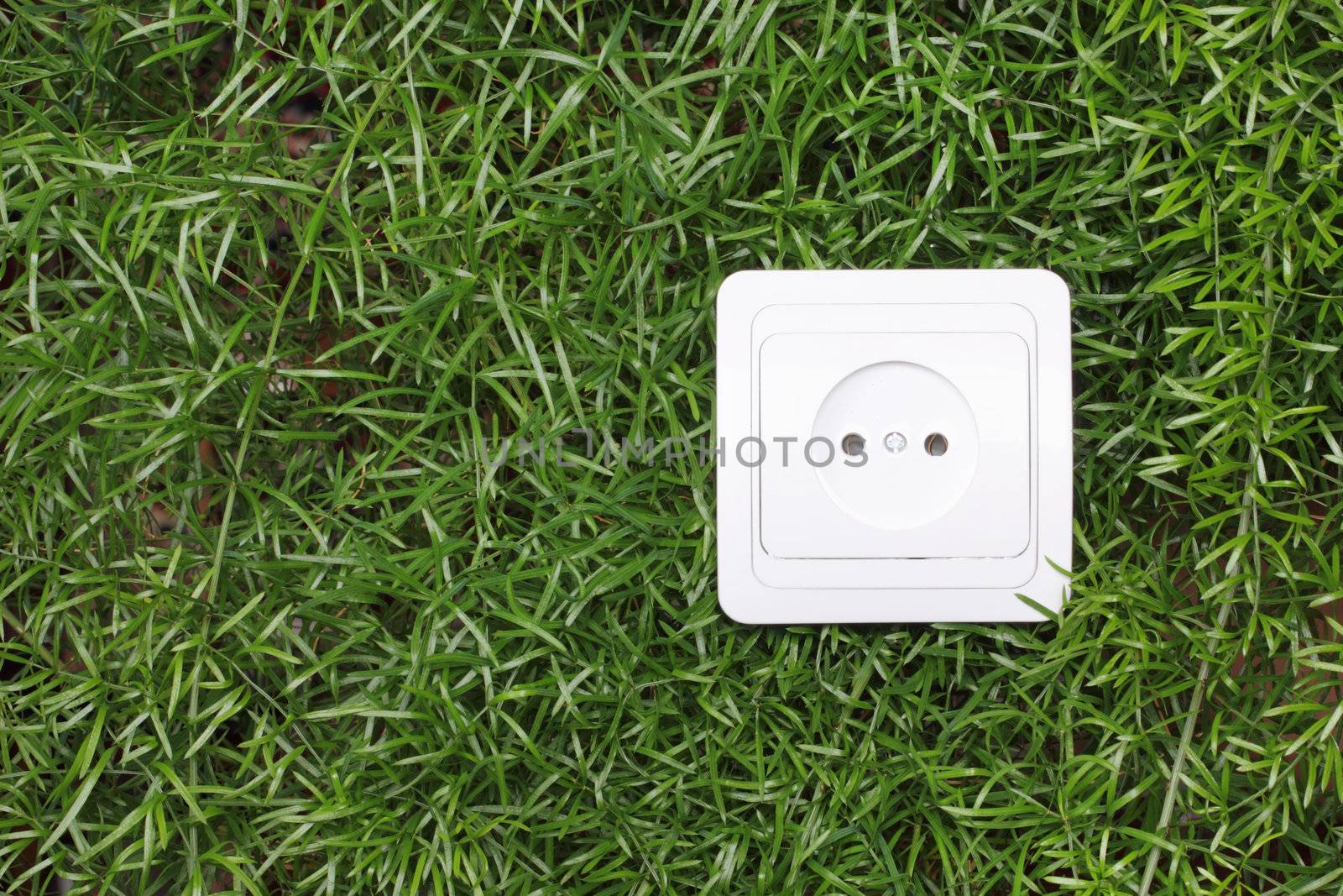 electric power receptacle on a green grass background by kav777