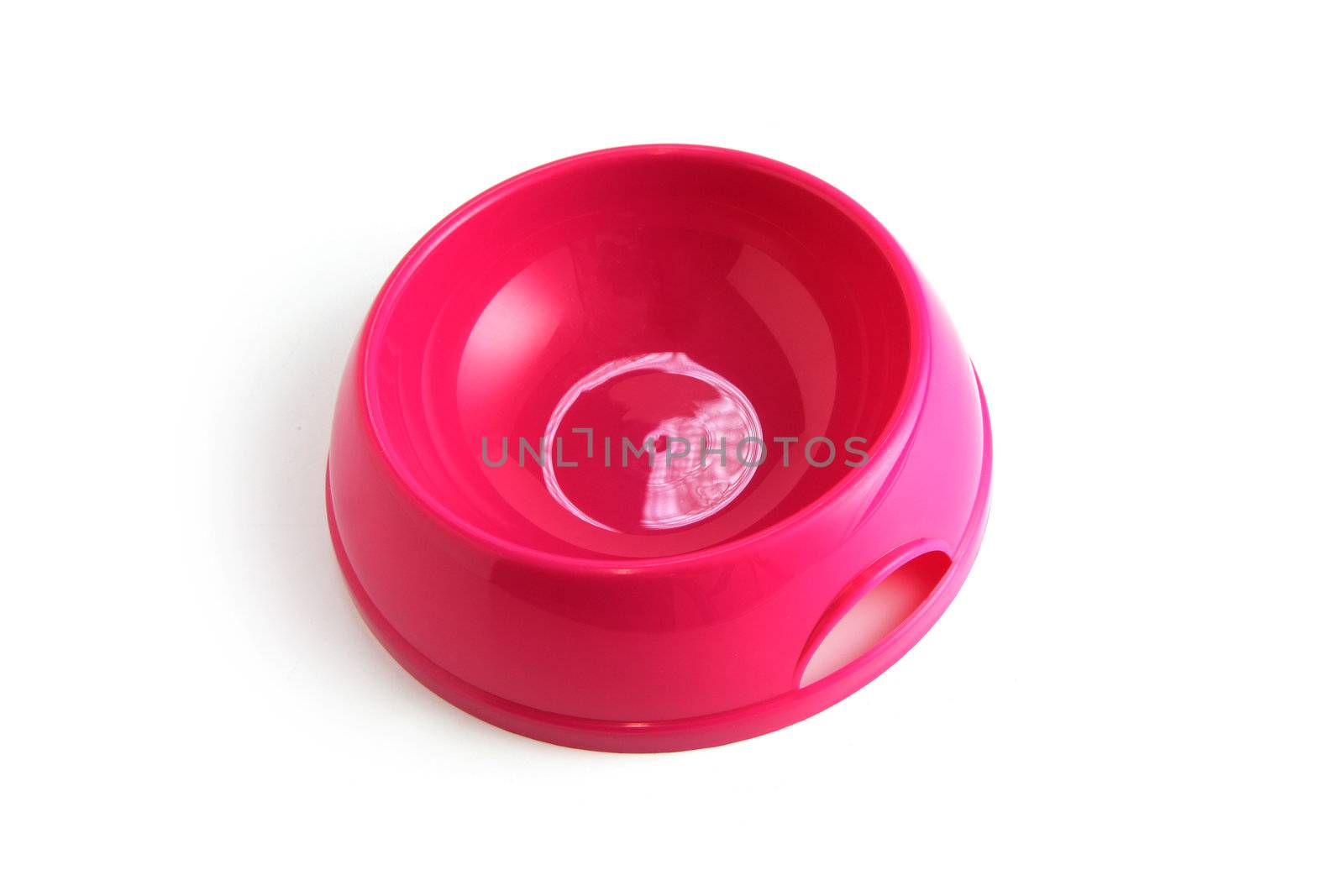 Pet food bowl