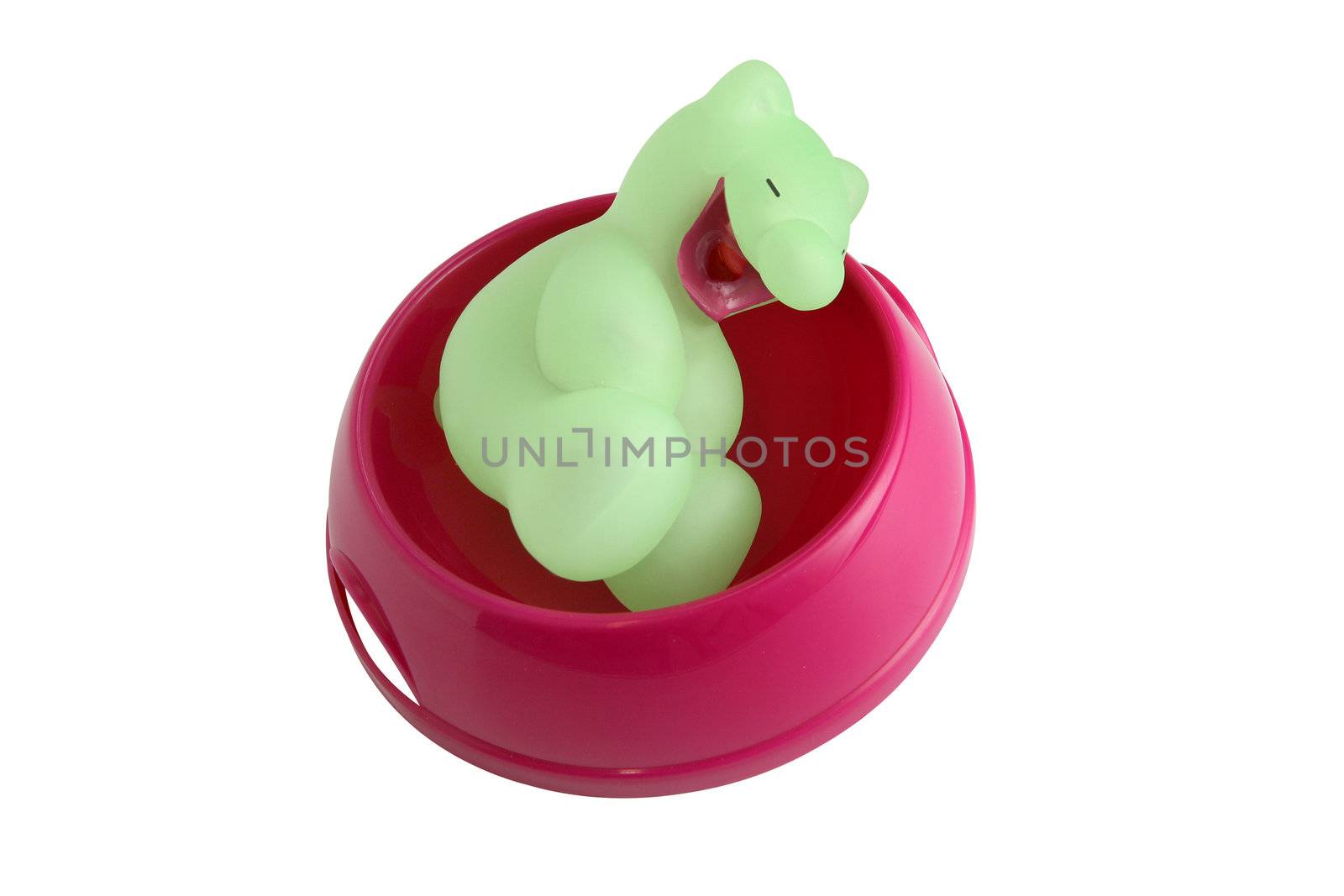 Squeaky toy in dog bowl